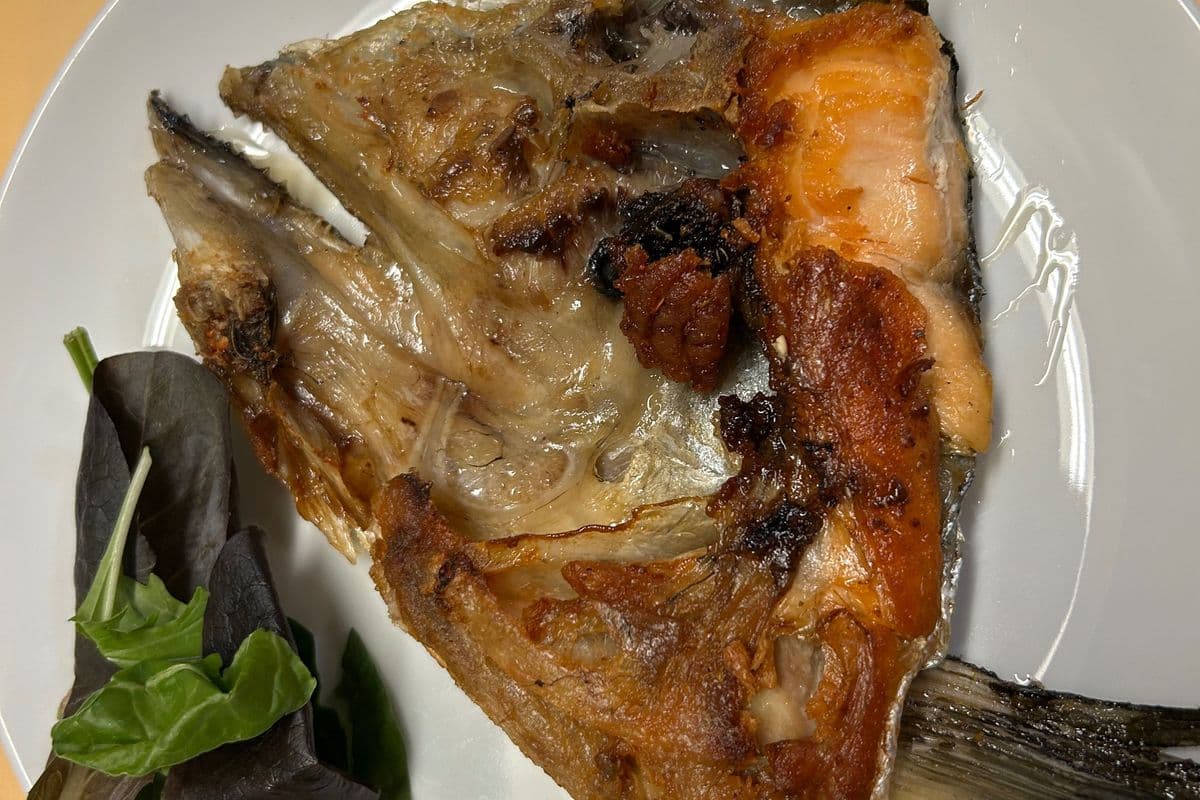 Salmon Head