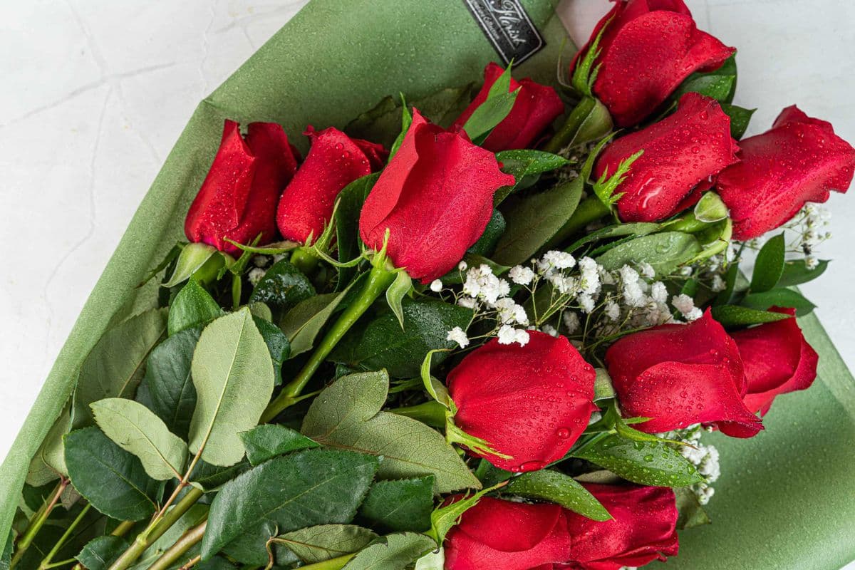 One Dozen (12) Premium Long-Stem Roses