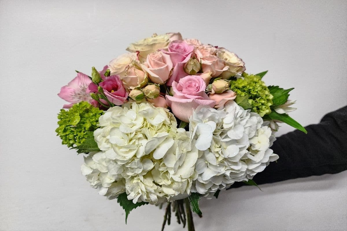 Roses Princesse
