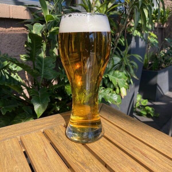 Big Life™ Euro Lager - 22 oz