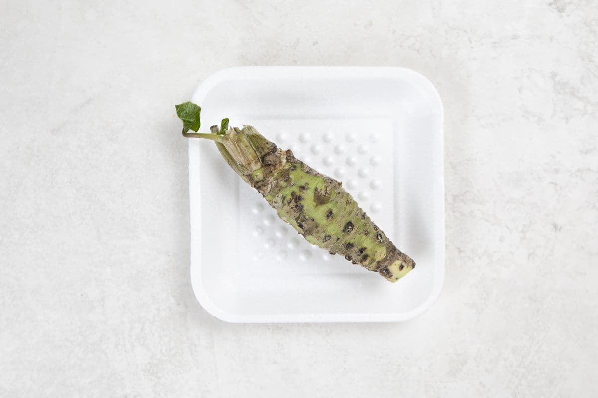 Wasabi Root (Japan)