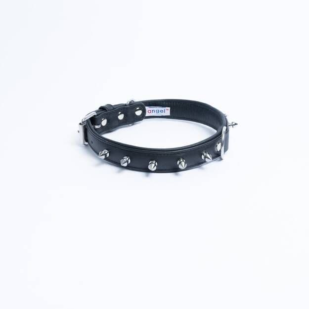 Angel Rotterdam Spiked Dog Collar Midnight Black