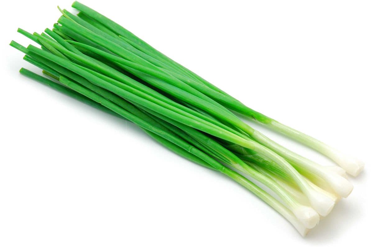 Green Onion Bunch (EA)