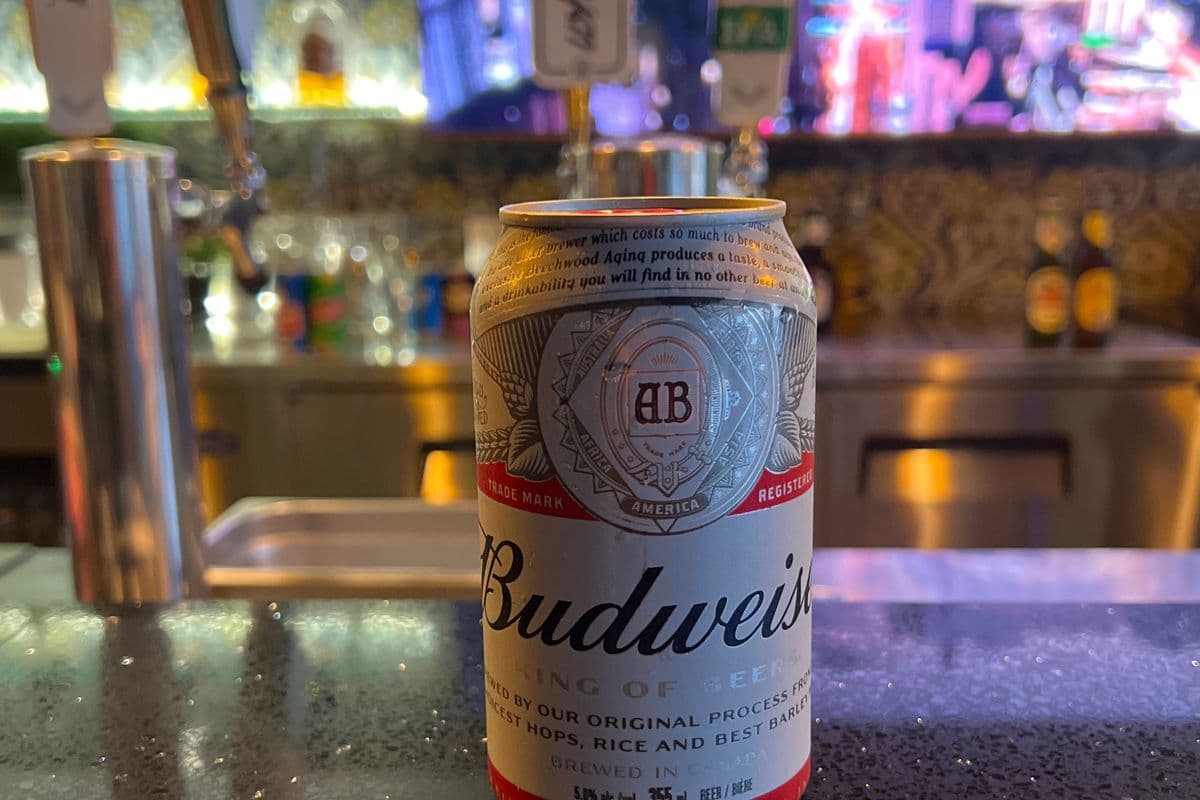 Budweiser (1 x 355 ml Can)