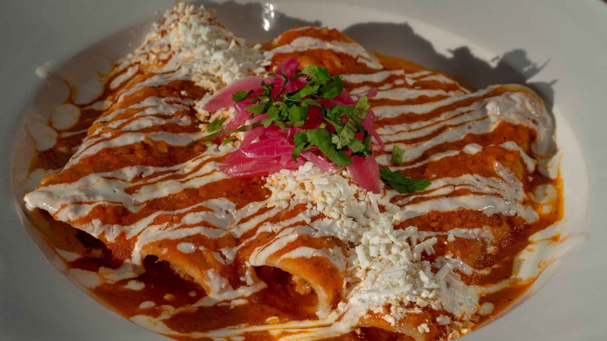 Enchiladas Rojas con Pollo