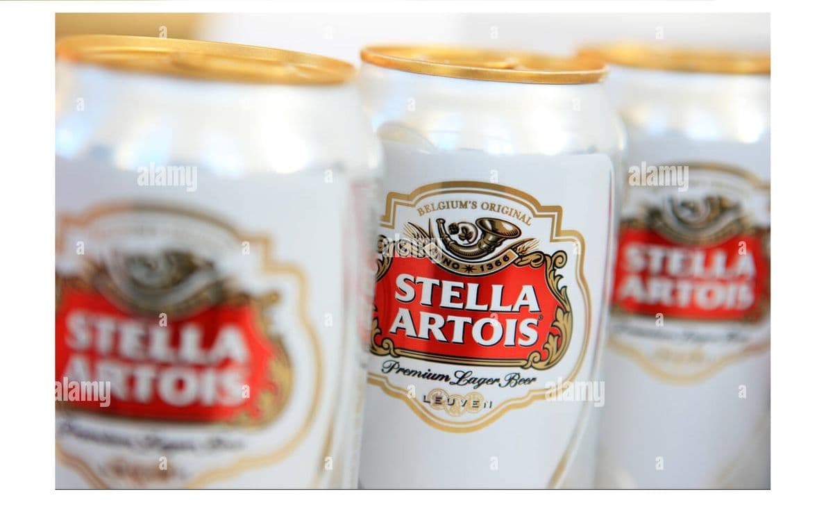 Stella Artois 6 Can (6 x 355 ml Can)