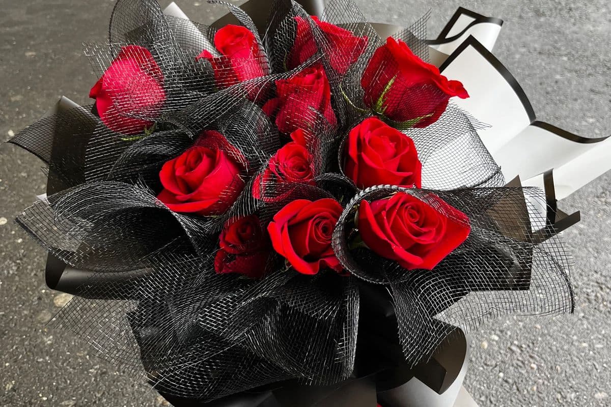 The Romance Of Red Roses 红玫瑰的浪漫