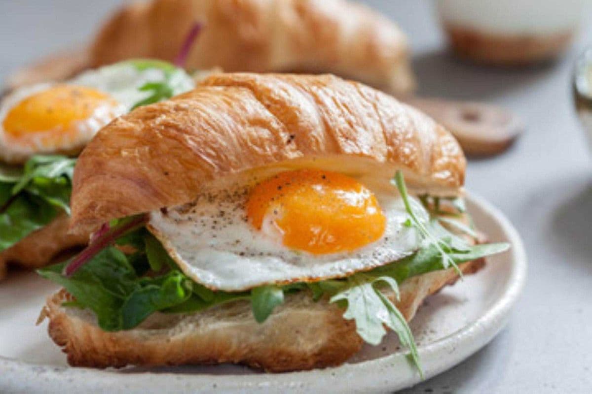 Egg-Yolk Sandwich