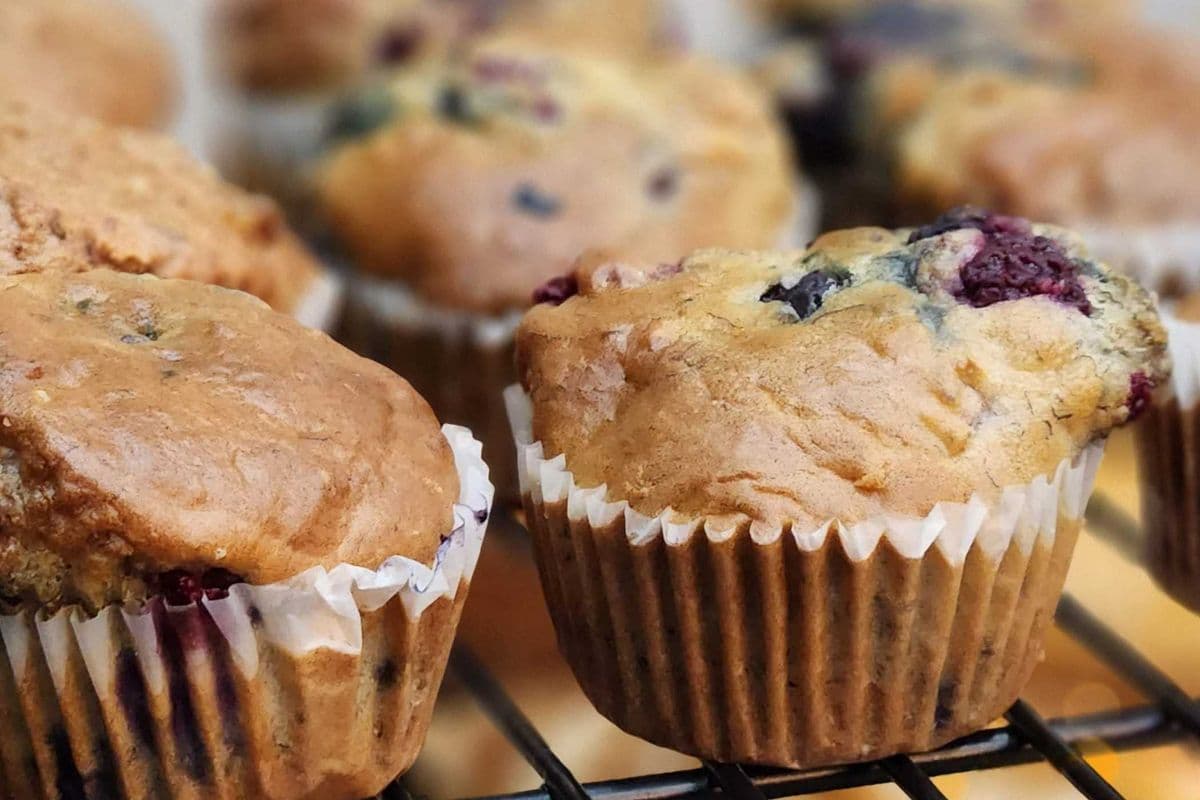 Banana & Berries Sugarfree Muffin