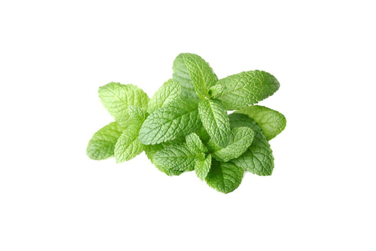 Fresh Bunch Mint (Na-Naa)