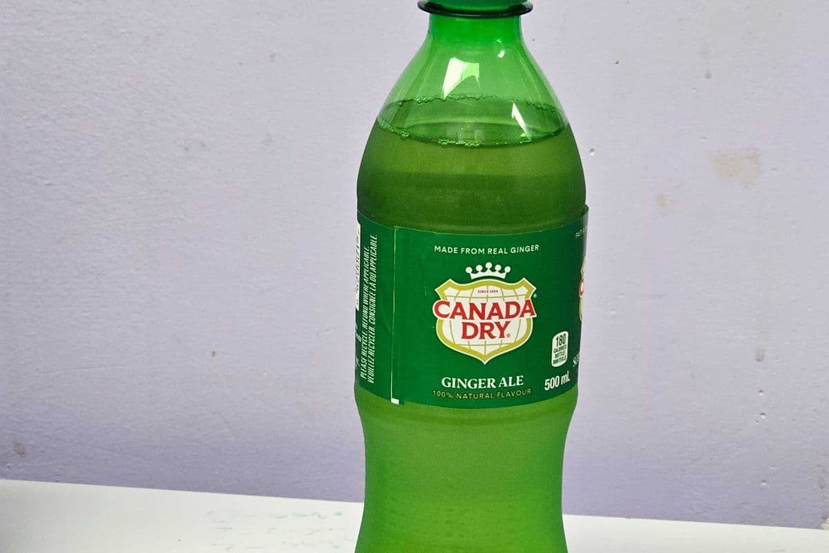 Plastic Canada Dry (500 ml)