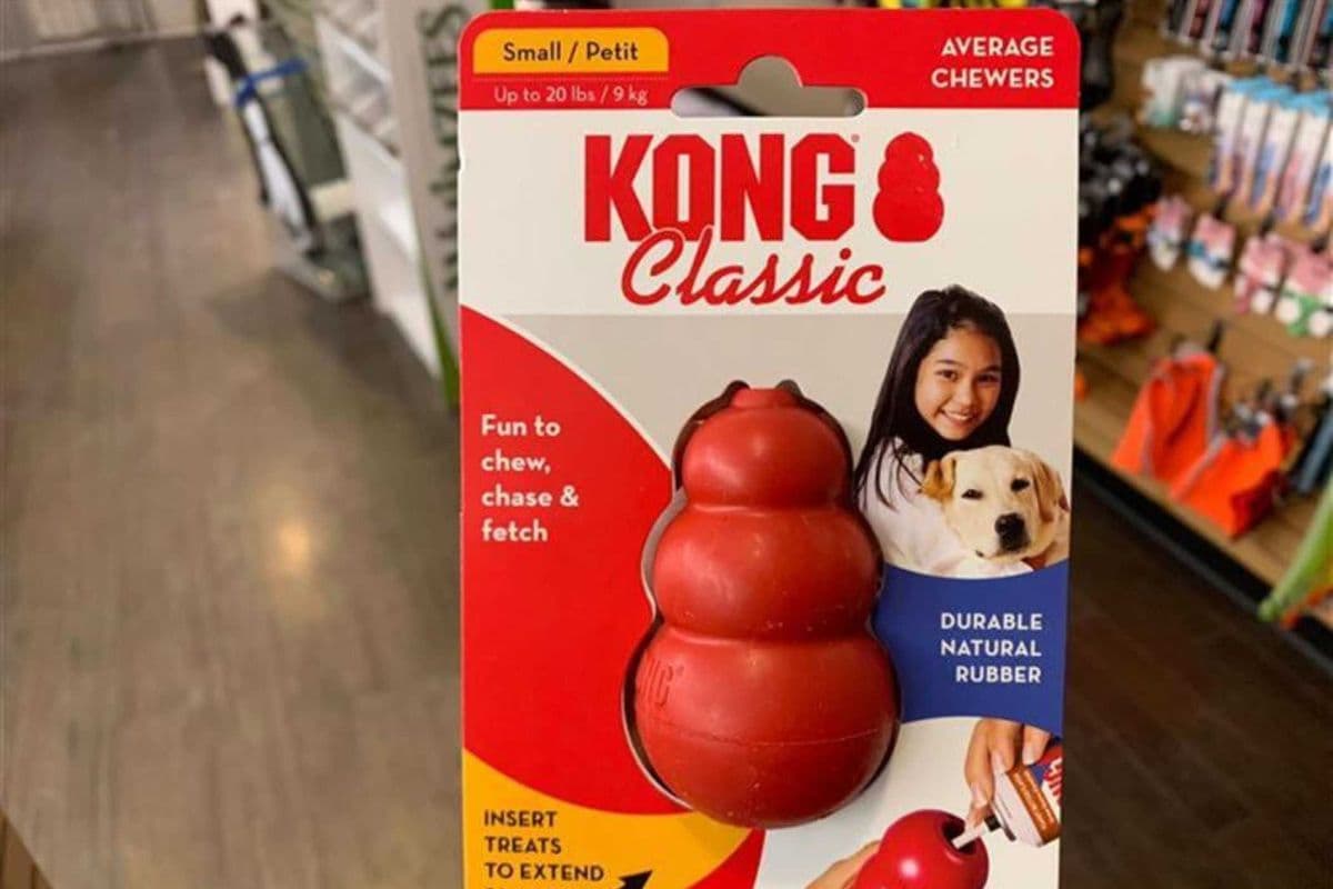 Kong | Kong Classic | Small