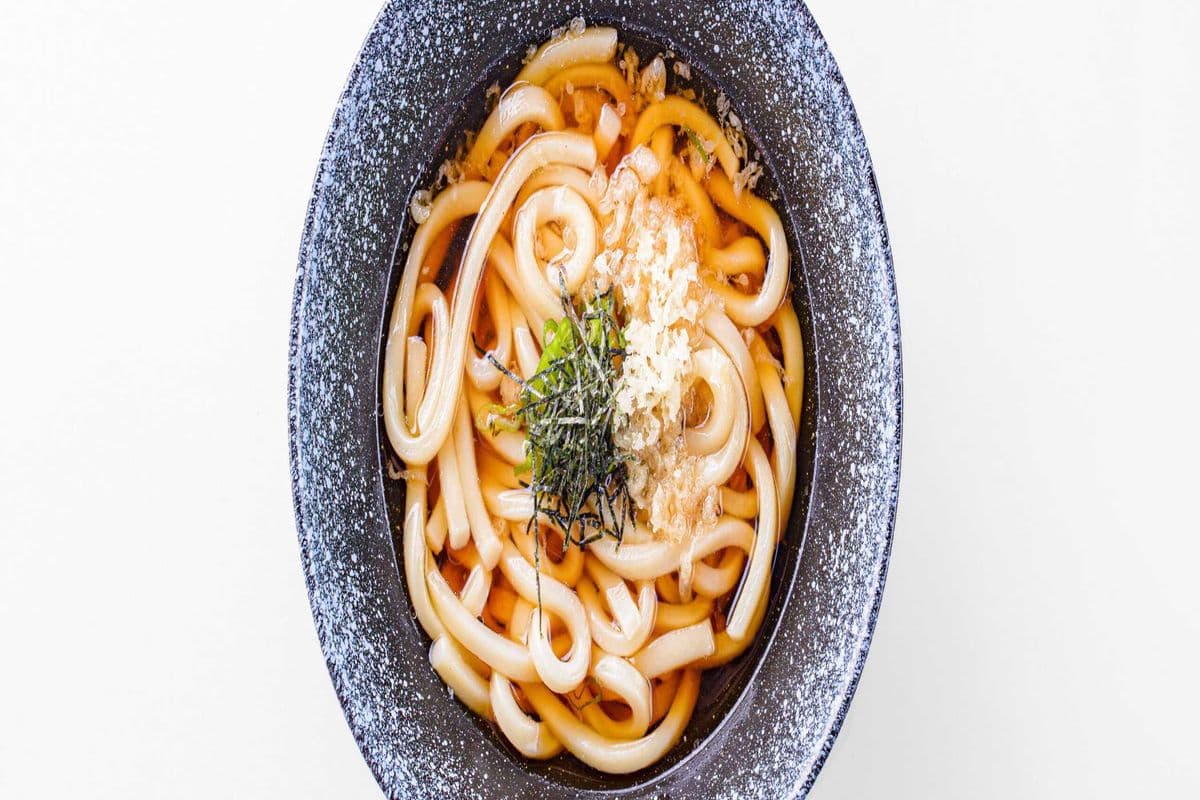 Plain Udon