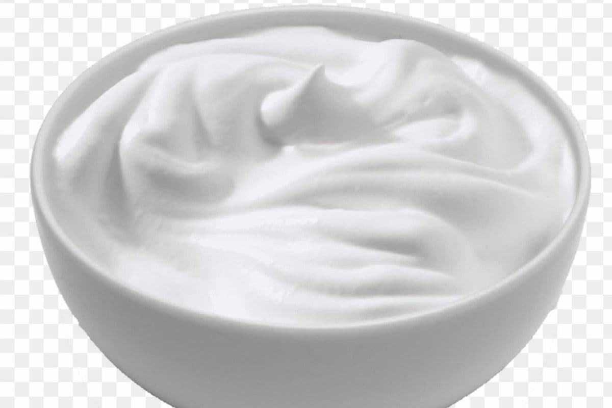 Yogurt