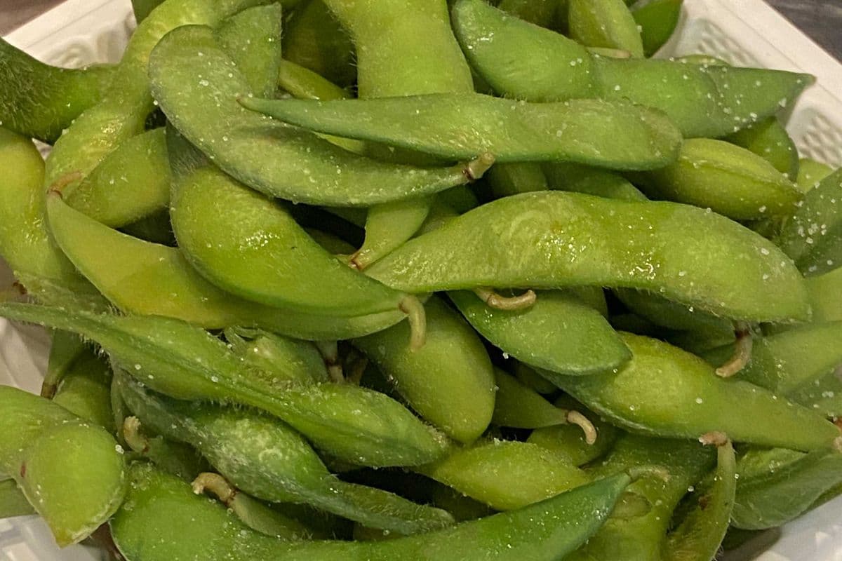 Edamame (Vegetarian)
