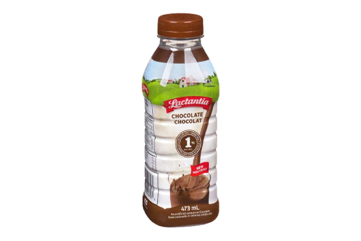 Chocolate Milk (473 ml)