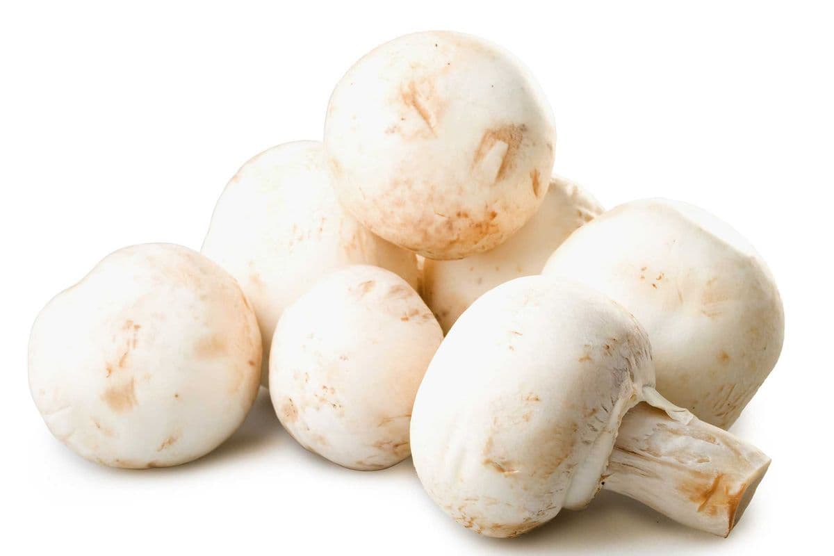 Mushroom White (per lb)