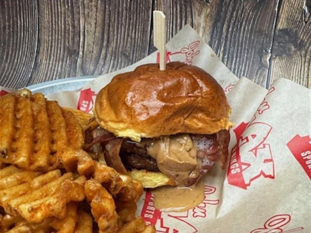Protein Burger