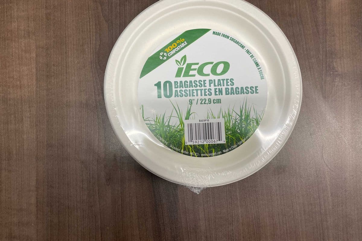 Bagasse Plate 9" 10pc (10 Pack)