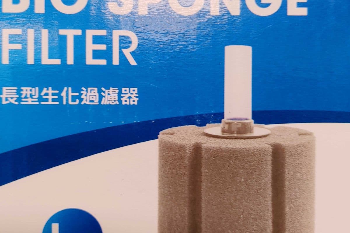 Large Rectangle Sponge Filter (50 g)