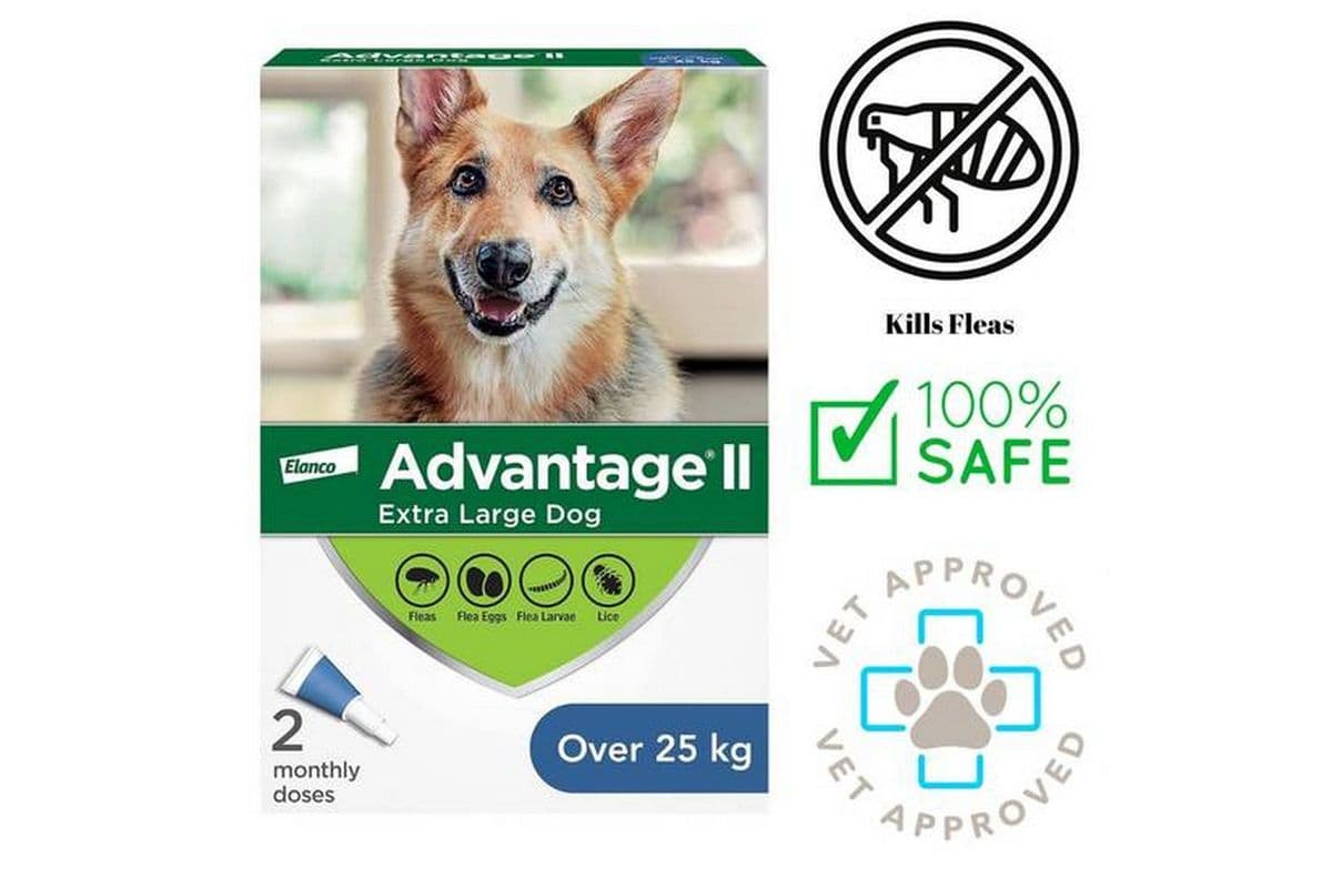 Advantage II - Flea & Tick Medicine Extra Large Dogs (25 kg)