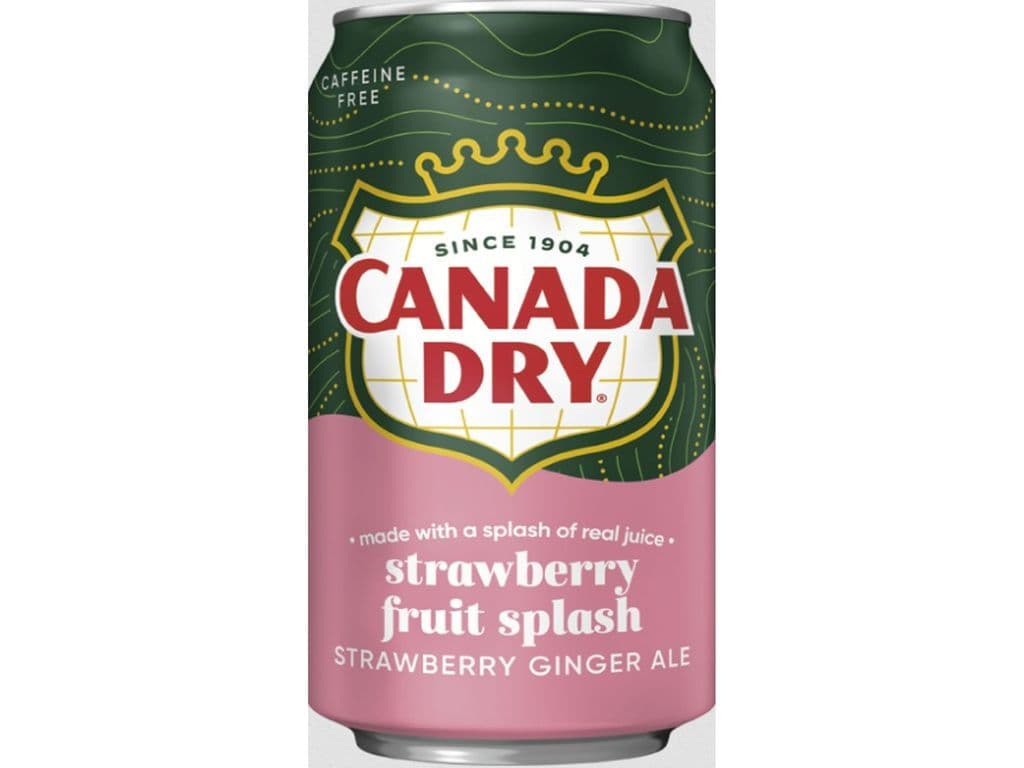 Canada Dry Strawberry Fruit Splash Gingerale Soda 355ml Pop Can