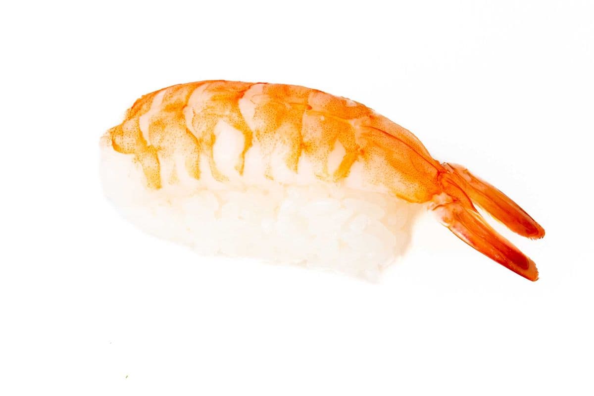 N. Crevette