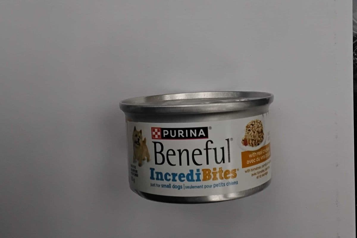Purina beneful with real chicken gravy (85g)