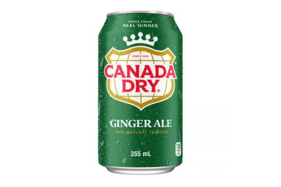 Ginger Ale (355 ml)