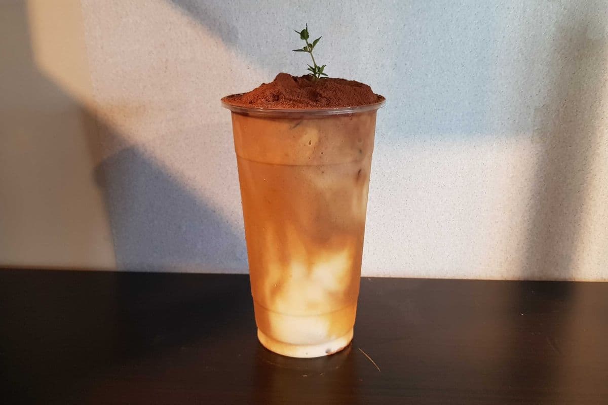 [New] Tiramisu Fraffe
