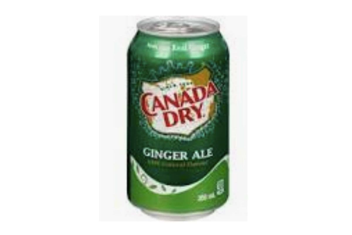 Ginger Ale (355 ml)
