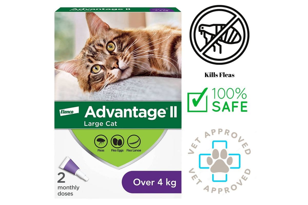 Advantage II - Flea & Tick Medicine - Large Cats (4 Kg)