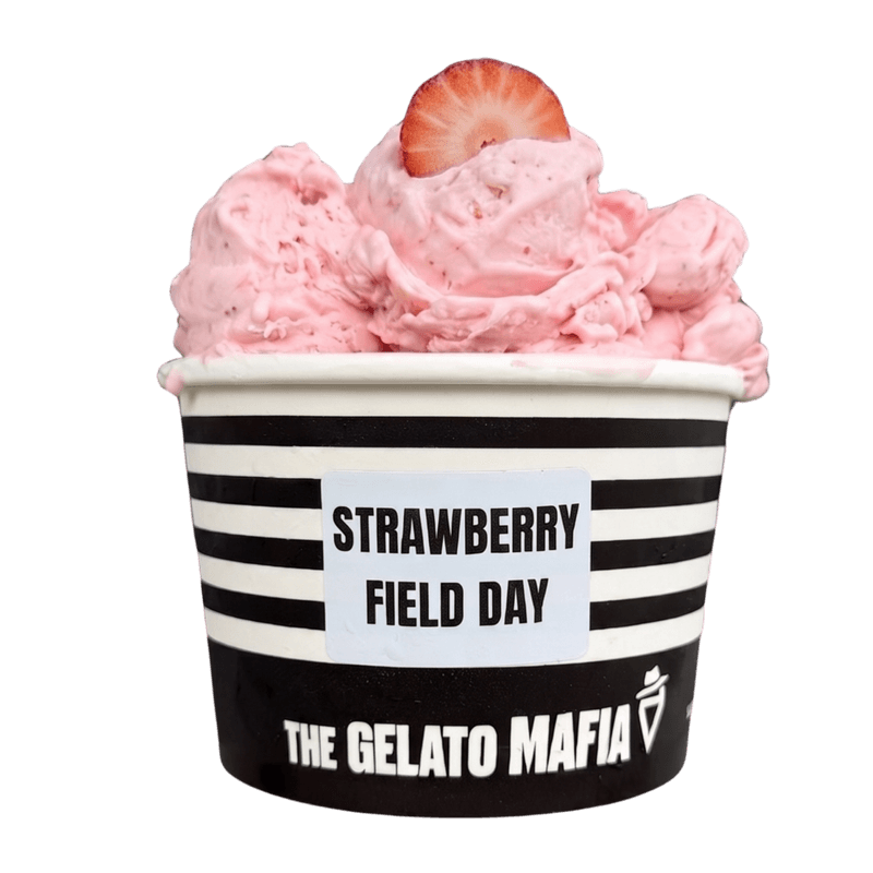 STRAWBERRY FIELD DAY