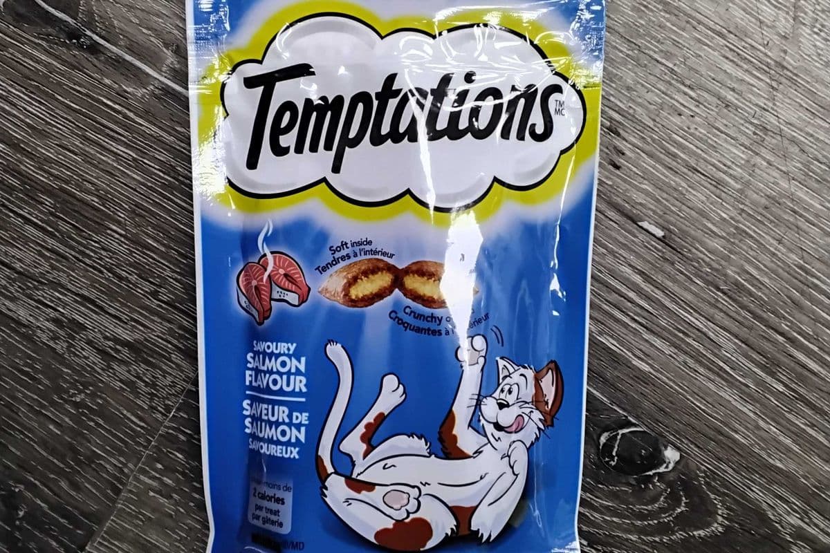 Temptations savoury salmon flavour (85g)