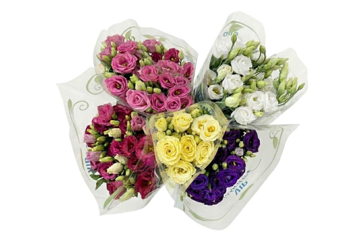 Lisianthus - 4 Stems