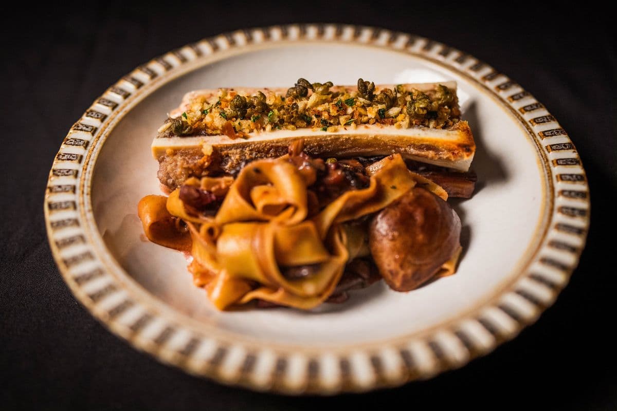 Bone Marrow Bascaiola