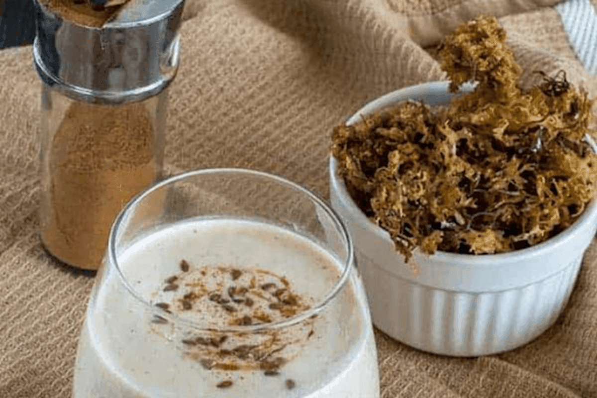 Irish Moss