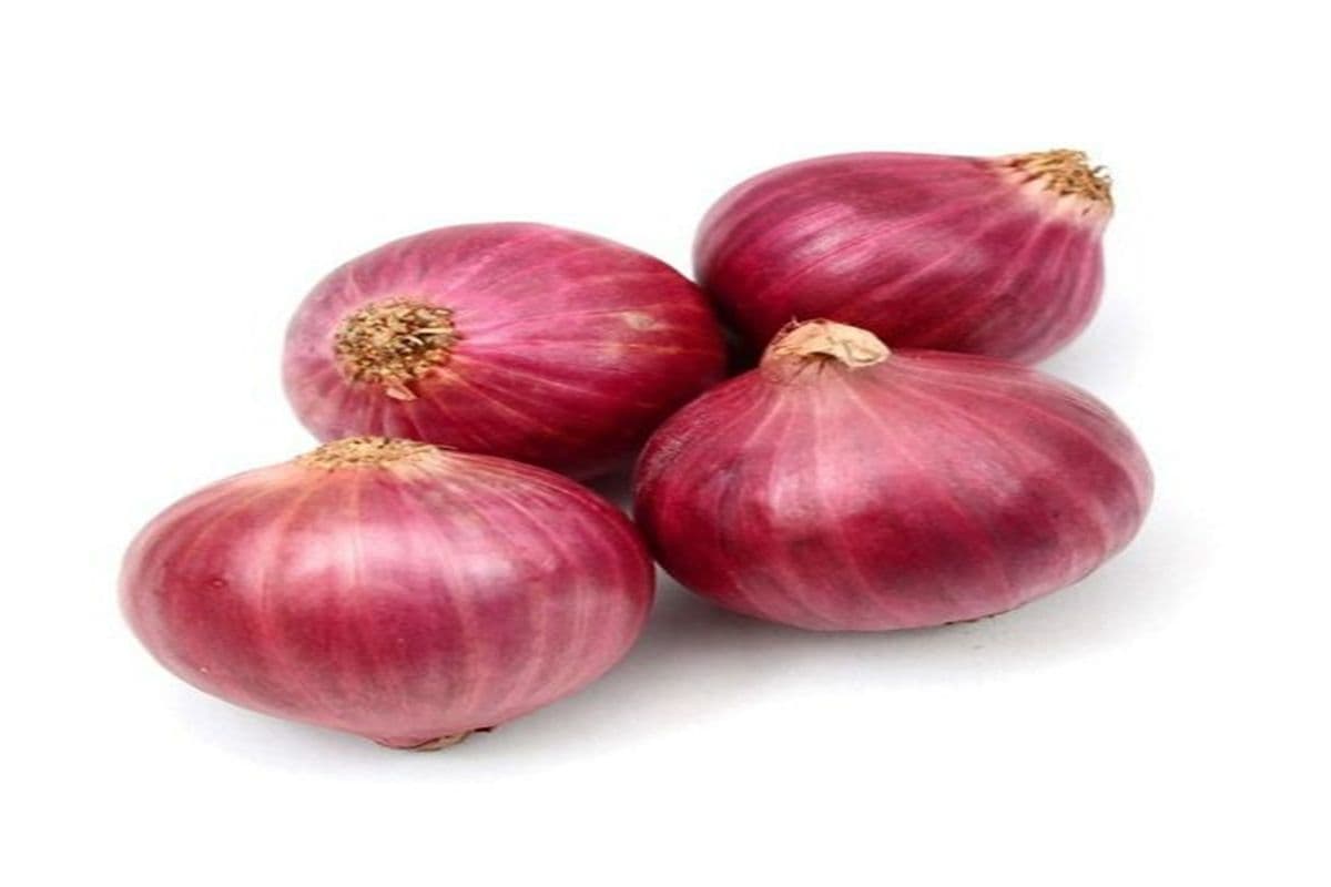 Onion Red Bag (10lbs)