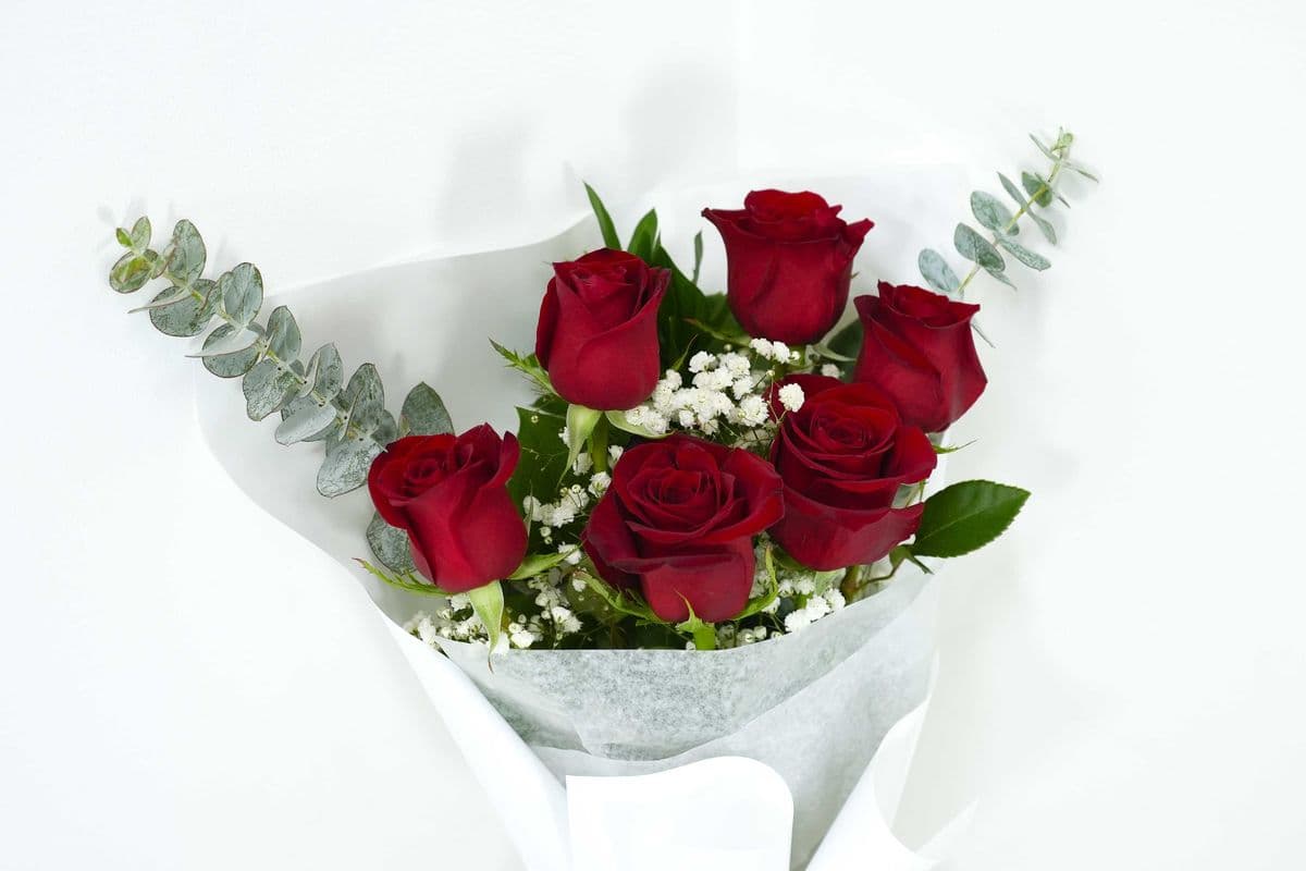 6 Red Roses