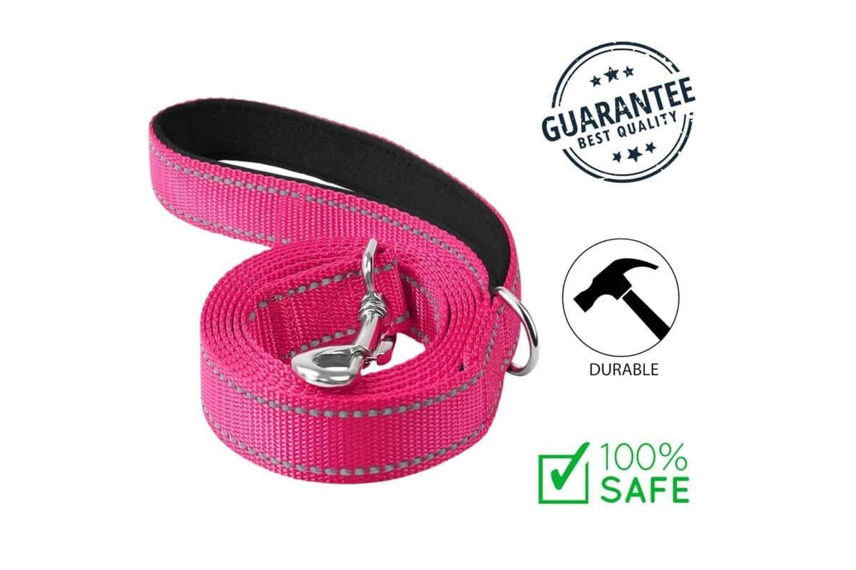 Ashario Pets Reflective Comfort Dog Leash Medium Pink