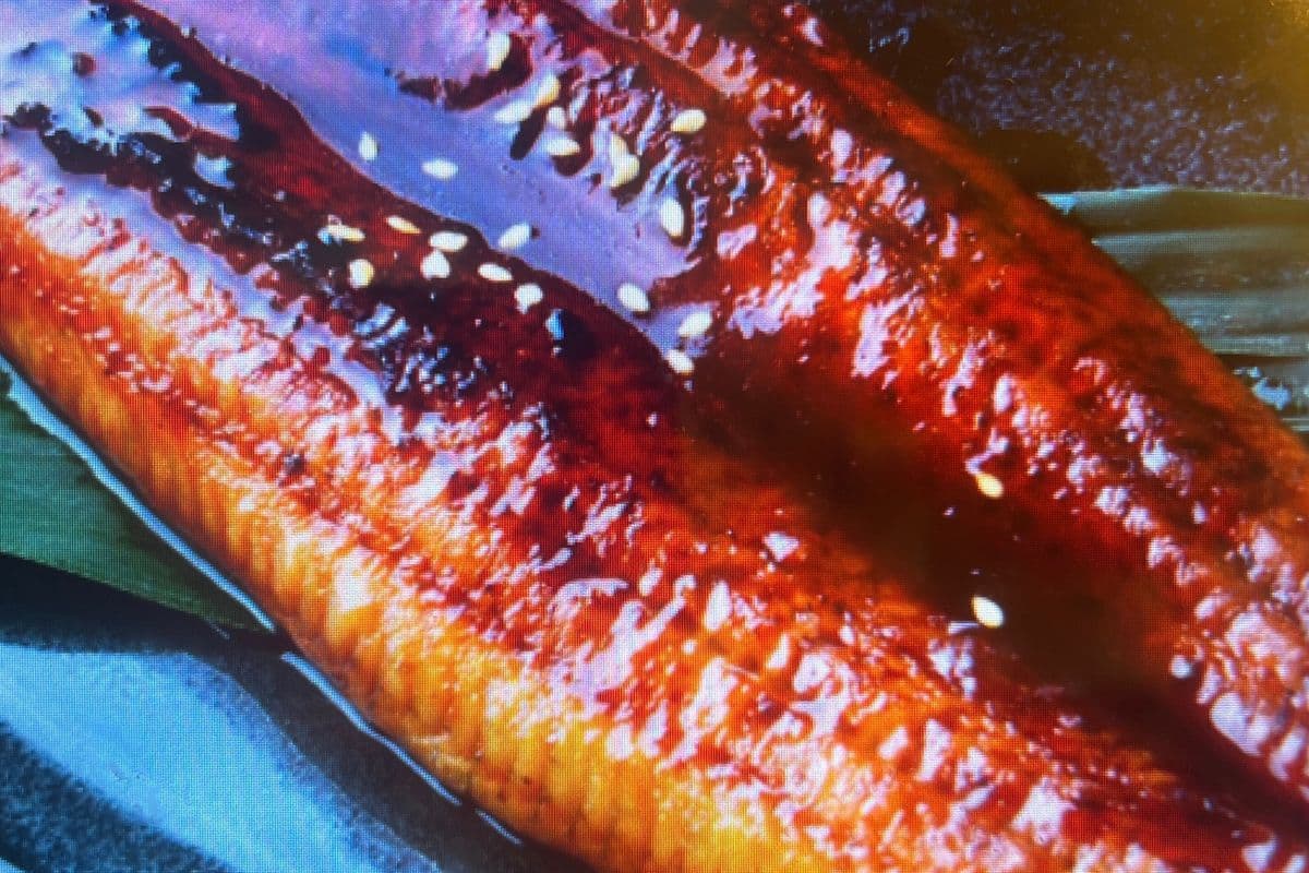 BBQ EEL (鳗鱼）