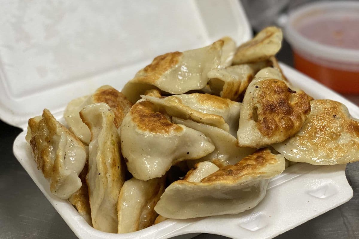 Pork Dumplings