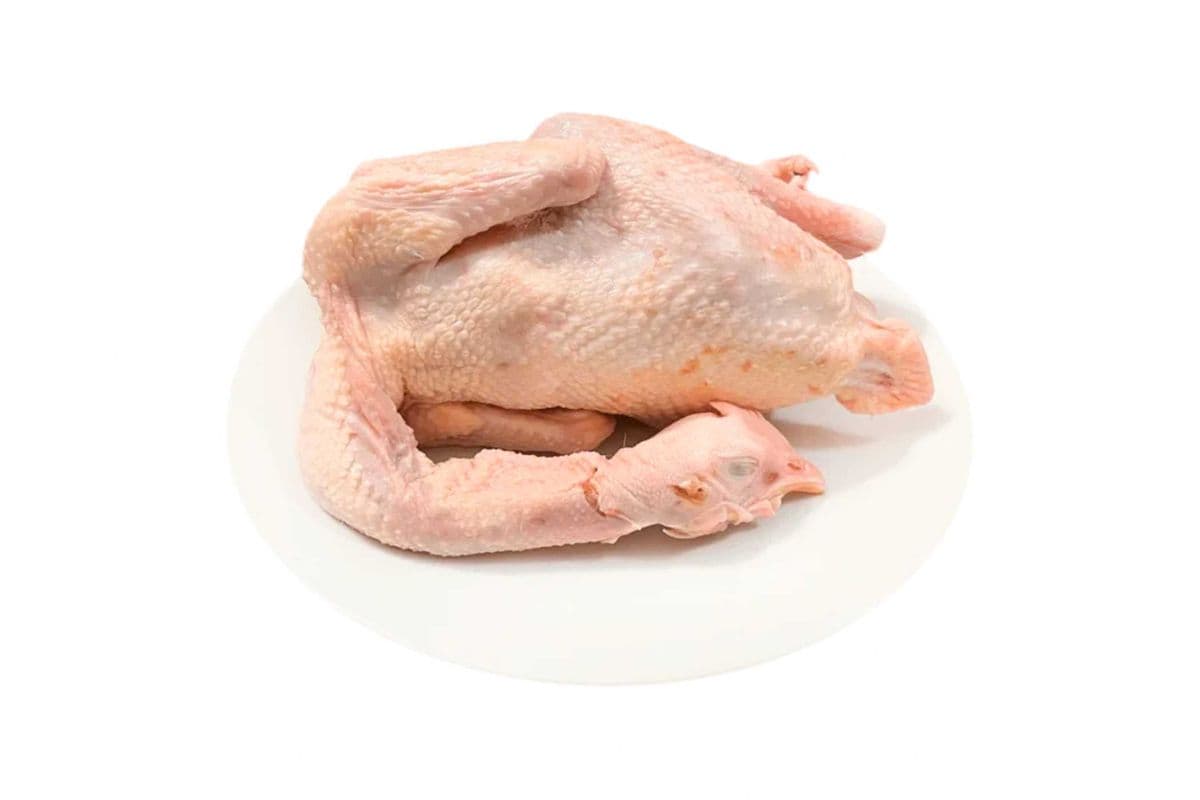Mature Chicken