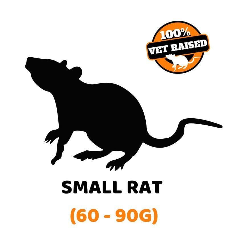 Exotic Feeders Whole Prey Frozen Feeder Rat - Small (60 - 90g) - 5 Pack