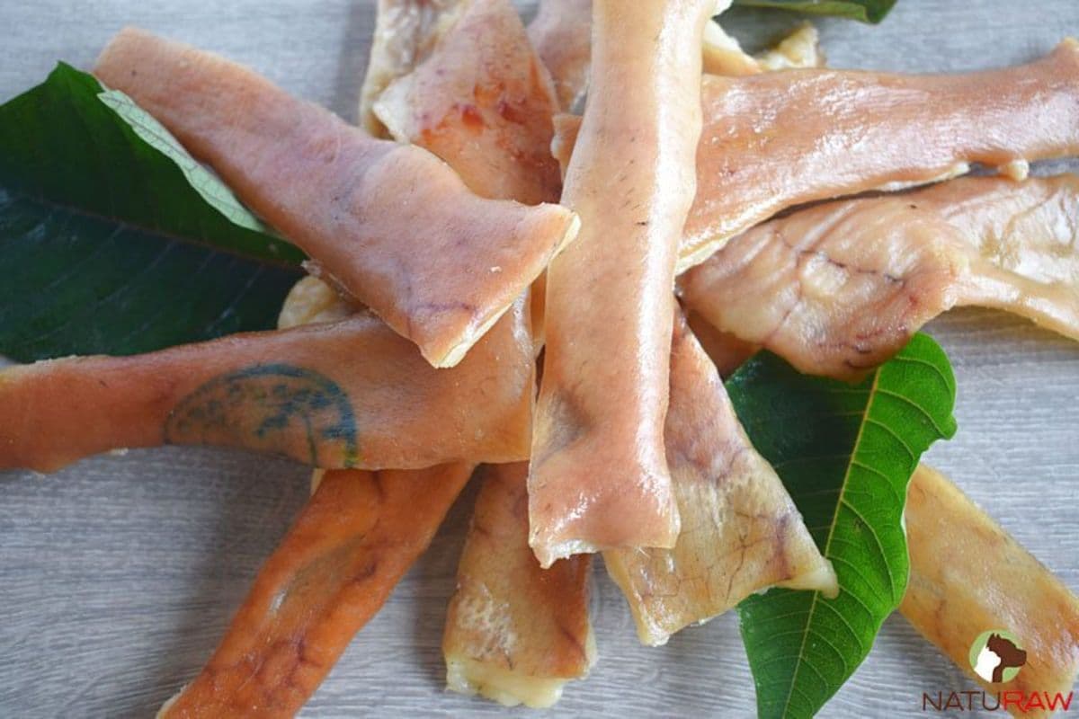 Dehydrated Pig Skin