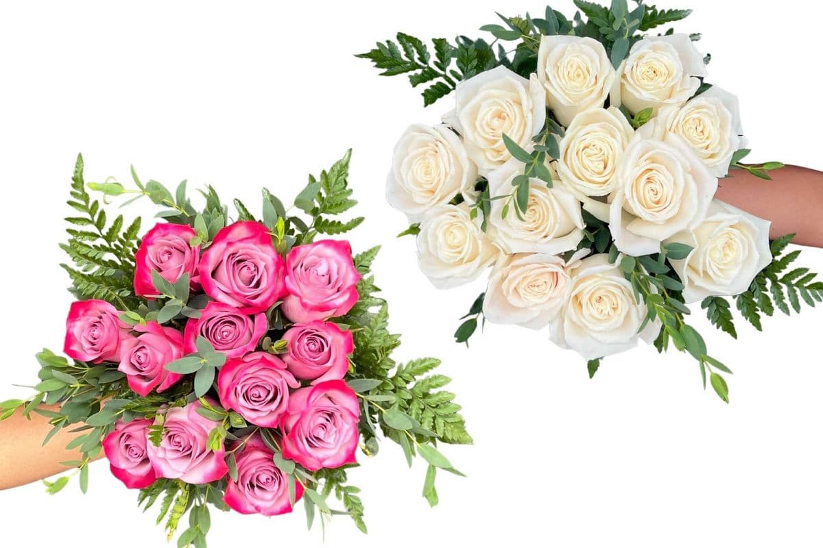 Dozen Rose Bouquet