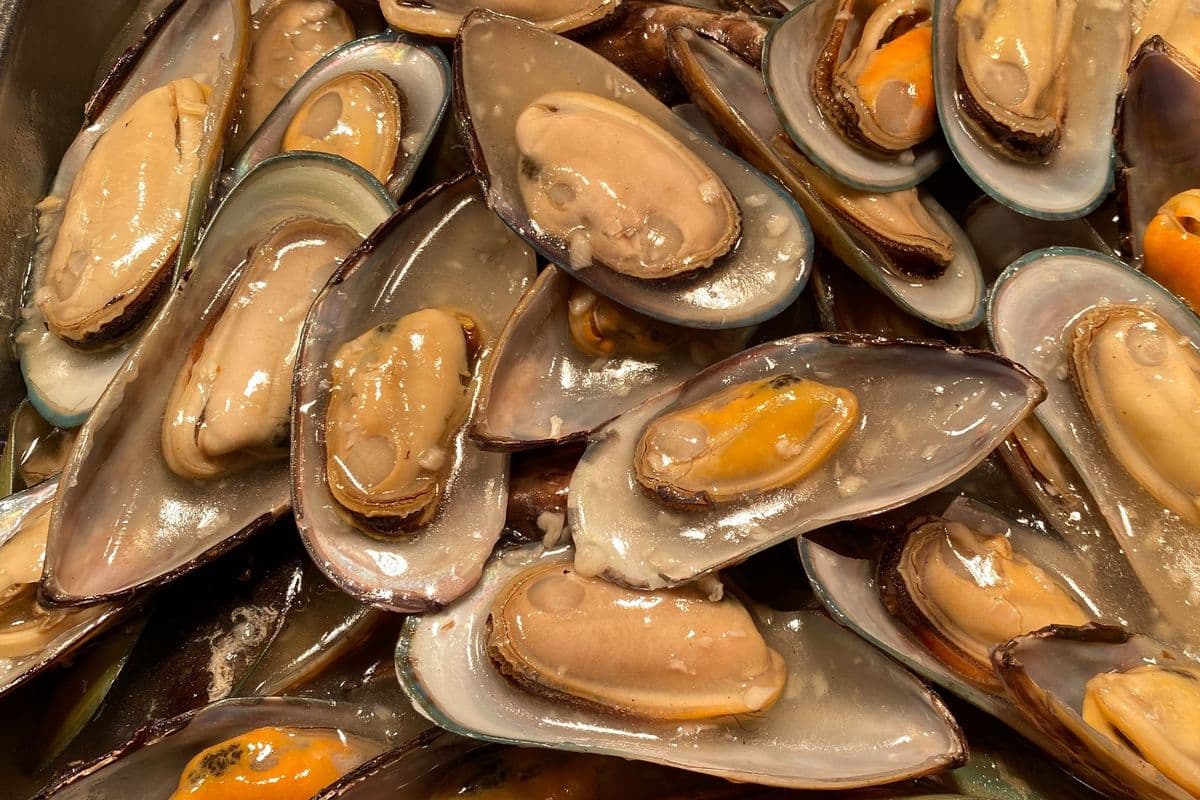 74. Mussel in Garlic Butter Sauce