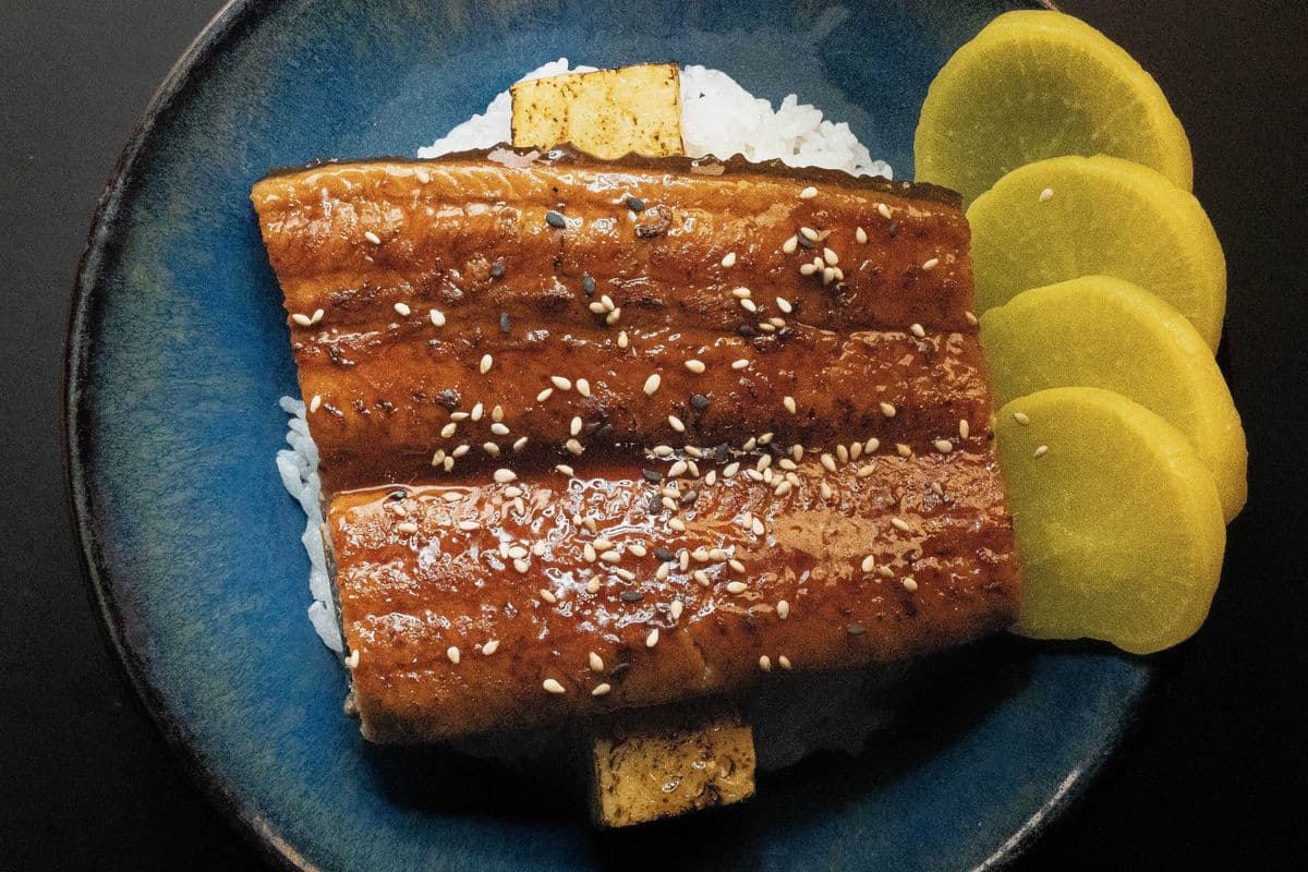 Unagi Don