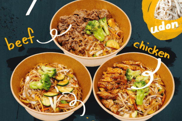 Vege Yaki Udon