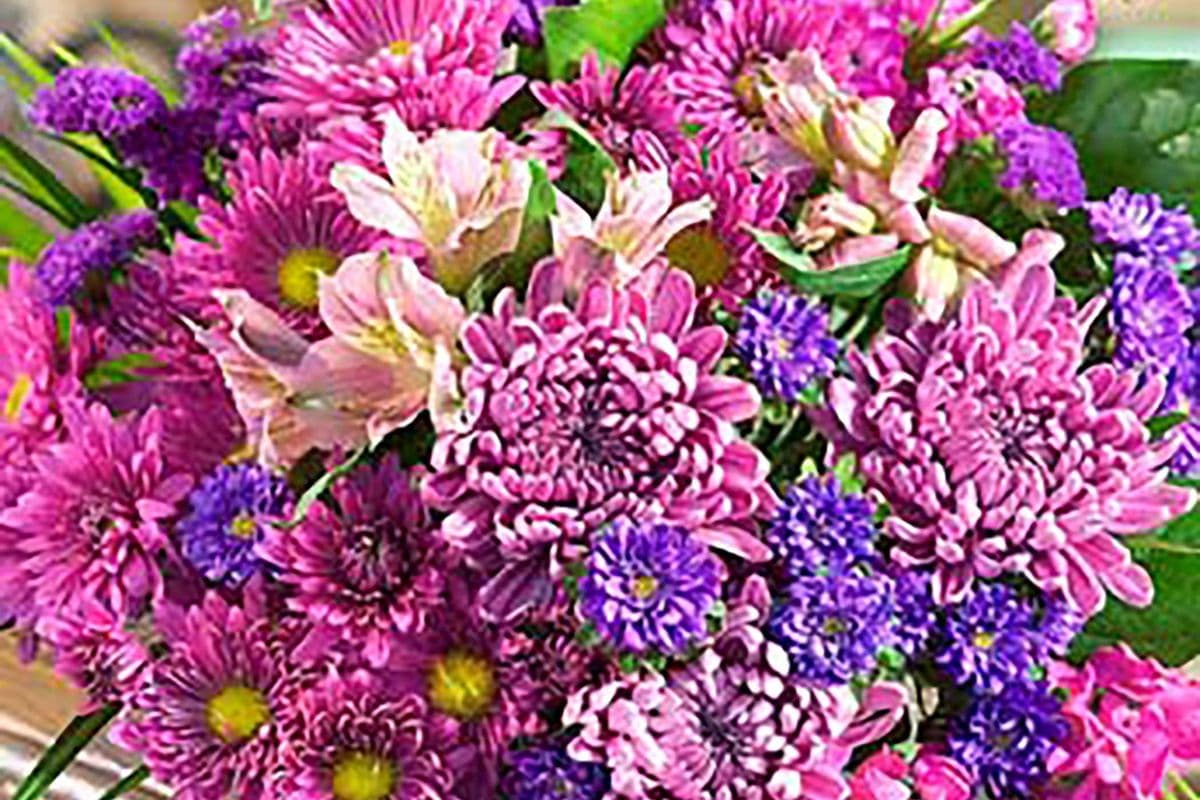 Fresh Hand Tied - Fond Wishes